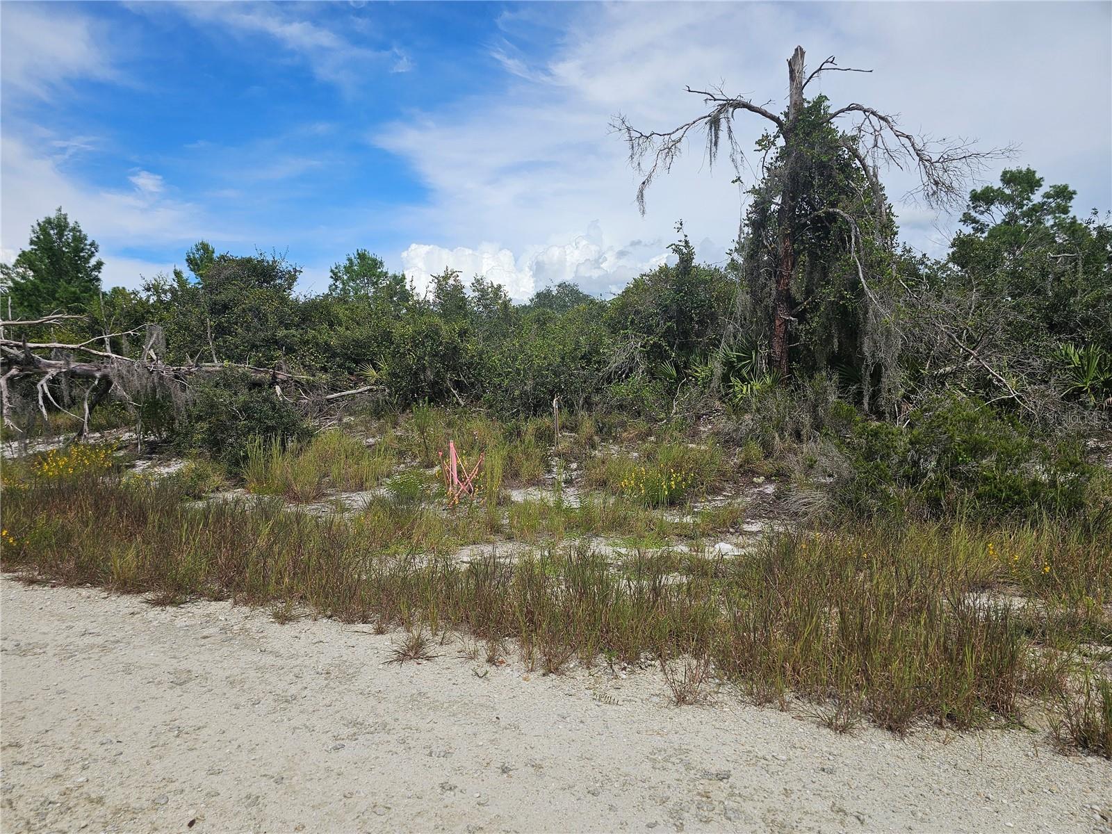 HIGHLANDS PARK ESTATE - Land