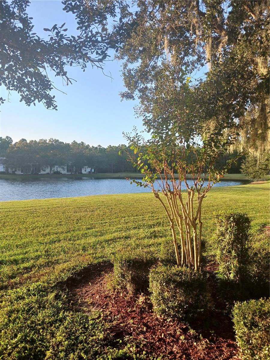 SEDONA AT LPGA INTL - Residential