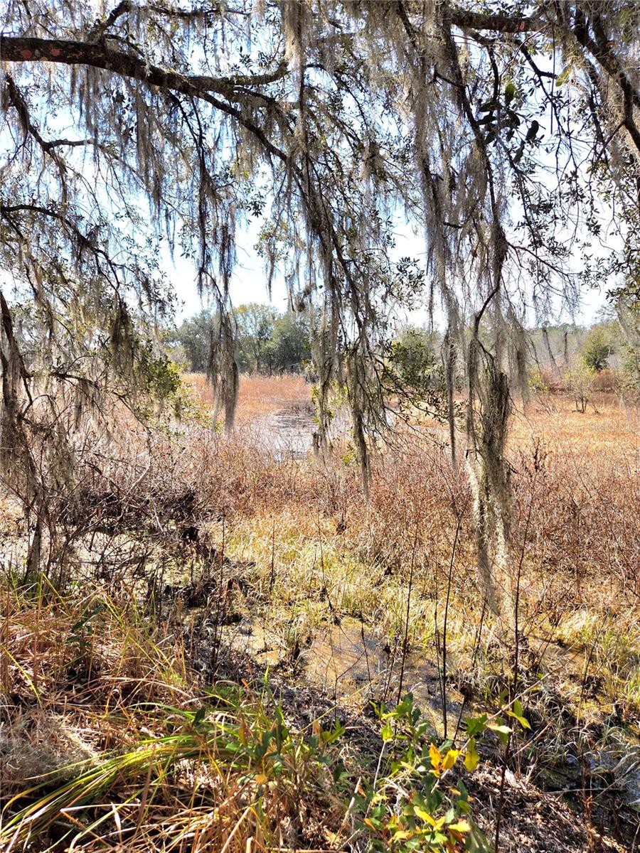 SAVANNAH OAKS-CLASS 1 SUB - Land