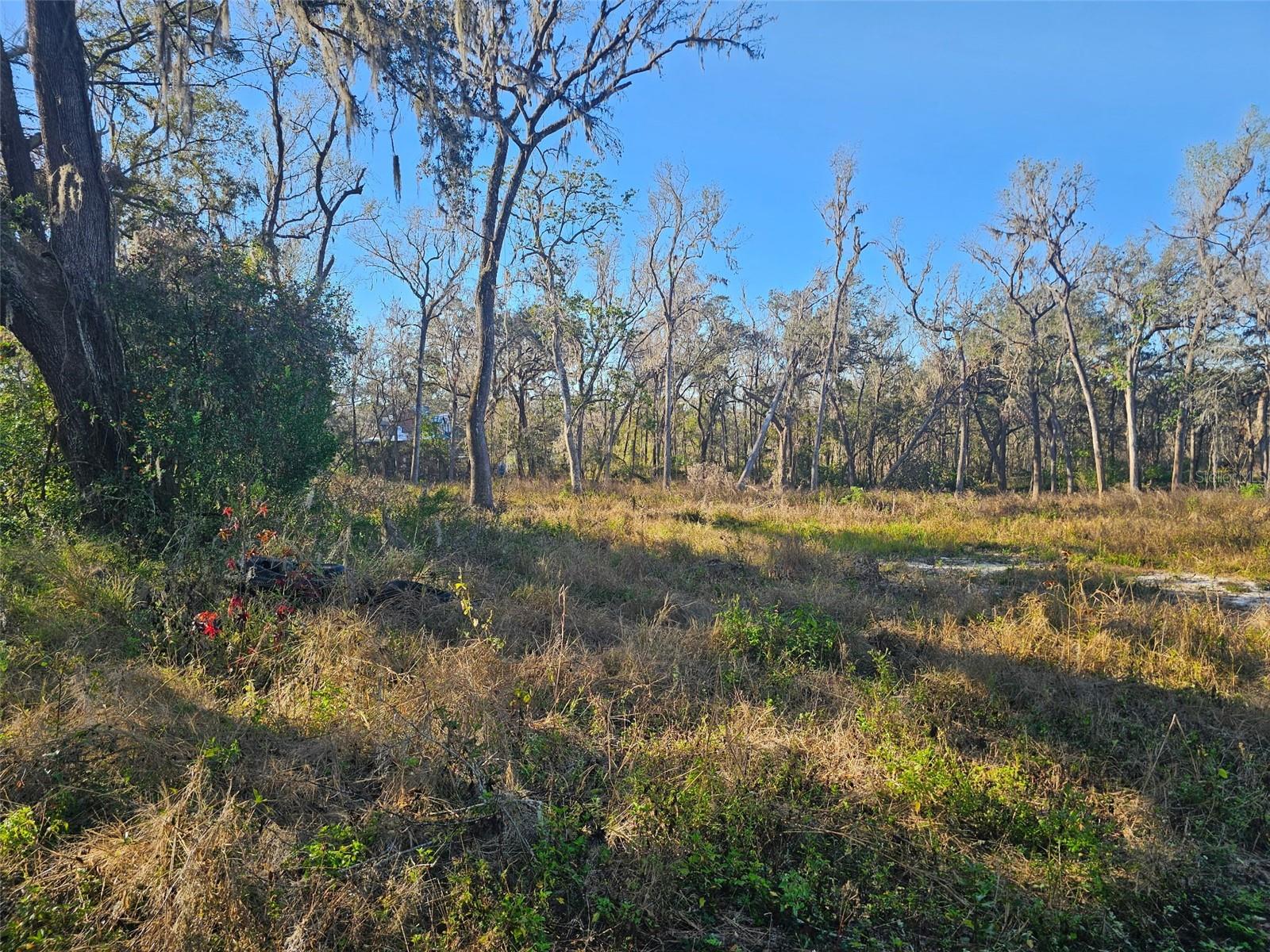 SAVANNAH OAKS-CLASS 1 SUB - Land