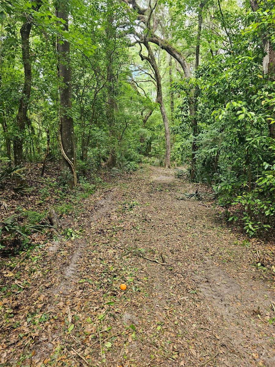 SAVANNAH OAKS-CLASS 1 SUB - Land