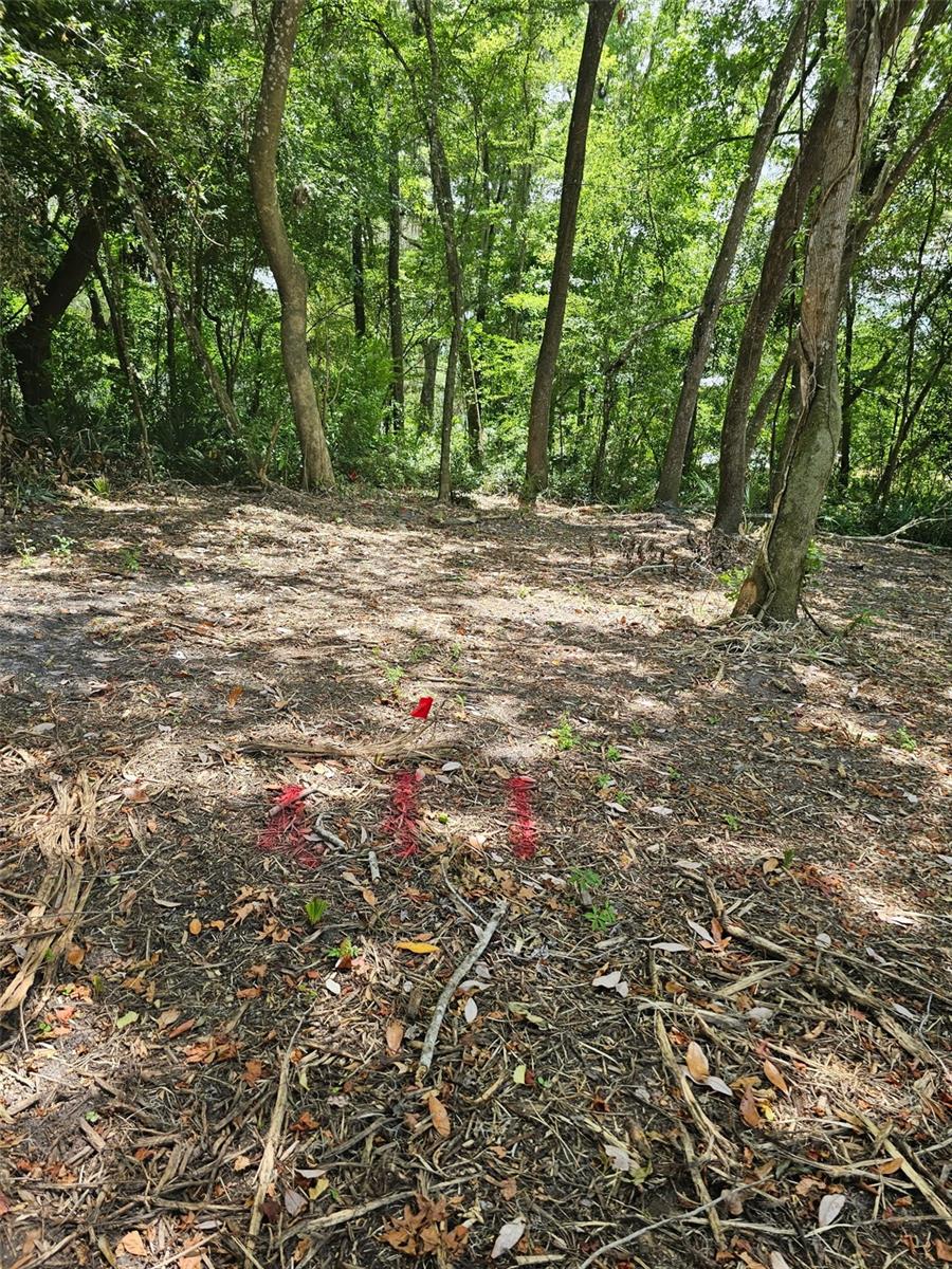 SAVANNAH OAKS-CLASS 1 SUB - Land