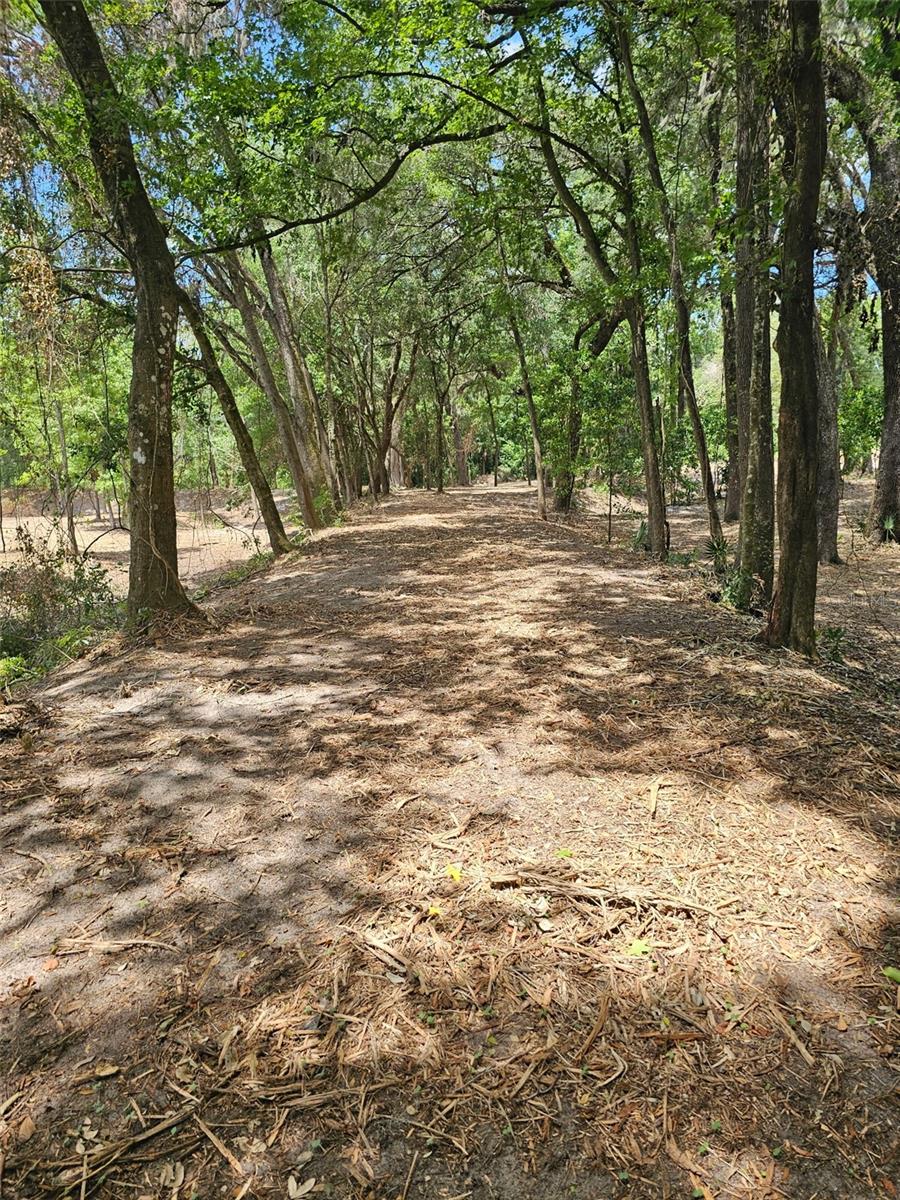SAVANNAH OAKS-CLASS 1 SUB - Land