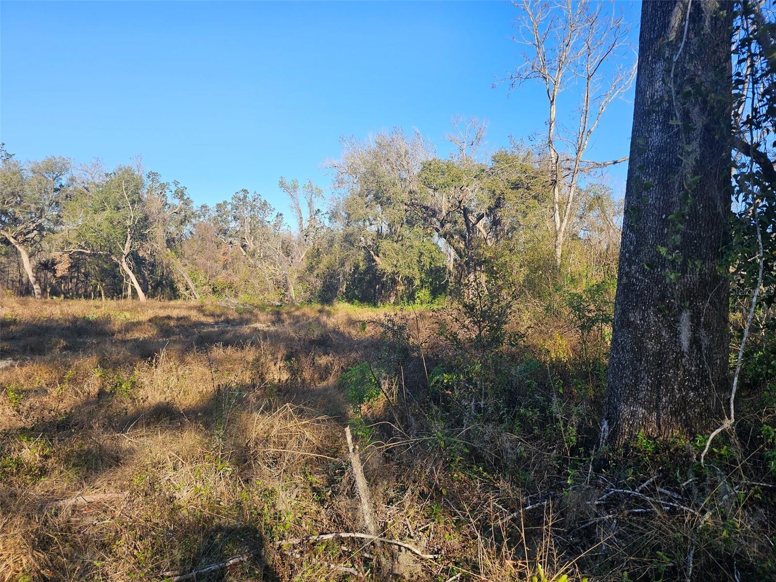SAVANNAH OAKS-CLASS 1 SUB - Land