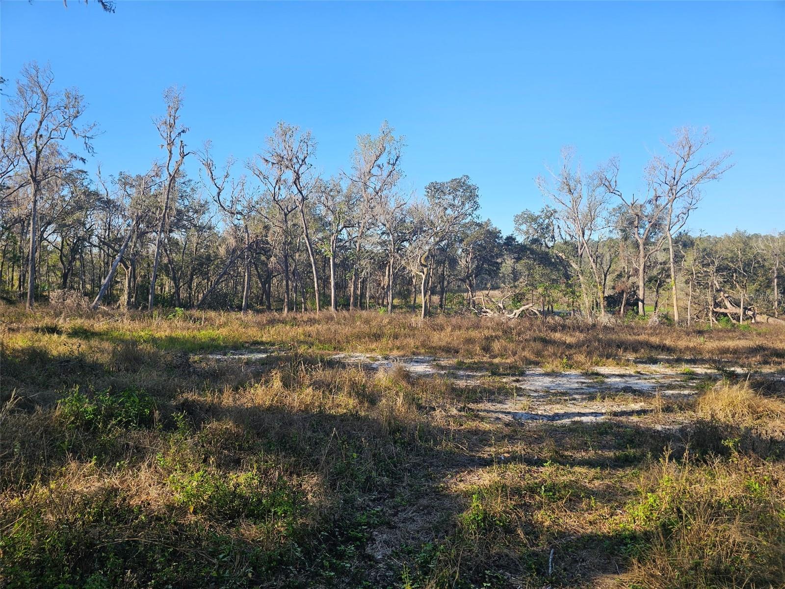 SAVANNAH OAKS-CLASS 1 SUB - Land