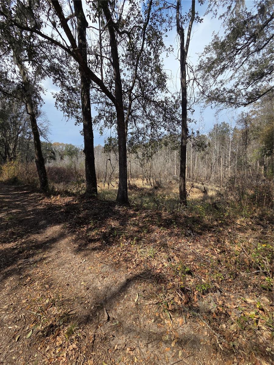 SAVANNAH OAKS-CLASS 1 SUB - Land