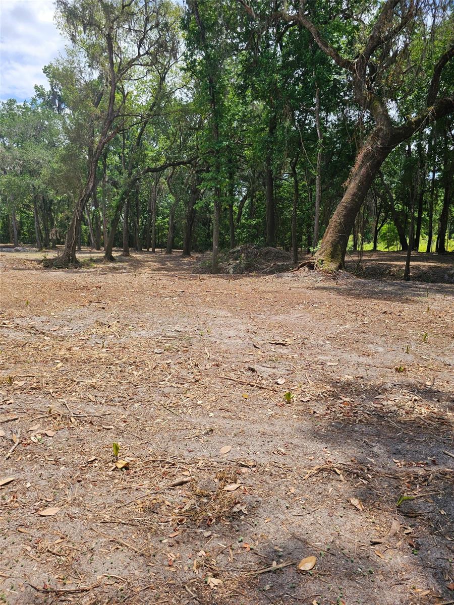 SAVANNAH OAKS-CLASS 1 SUB - Land
