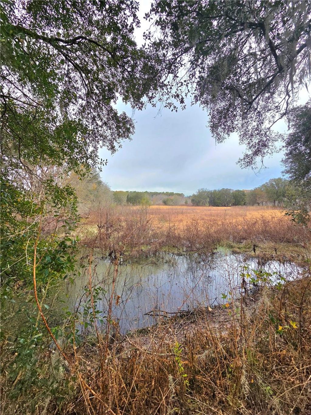 Photo of 359 Savannah Oaks Drive, Brooksville, FL 34602 (MLS # TB8389997)