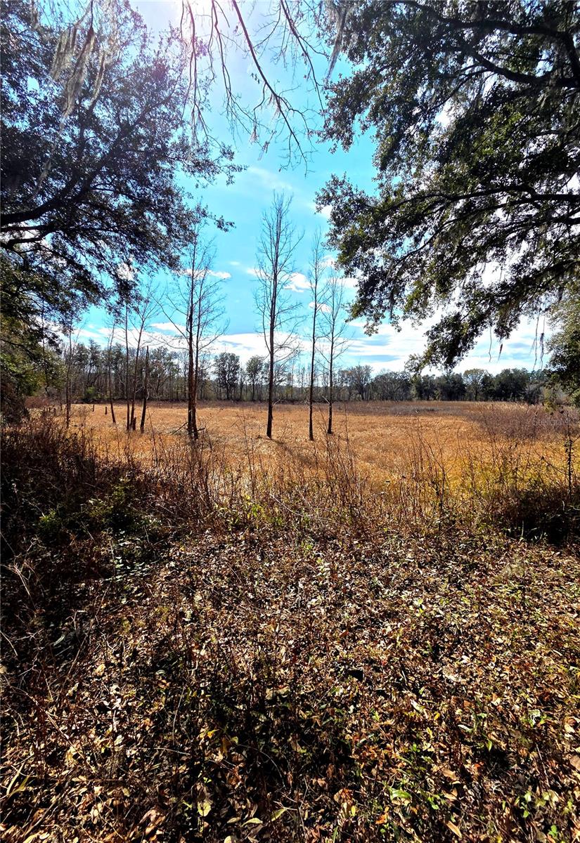 SAVANNAH OAKS-CLASS 1 SUB - Land