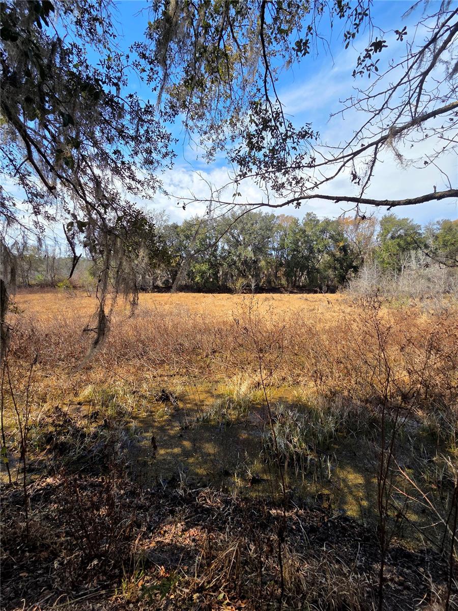 SAVANNAH OAKS-CLASS 1 SUB - Land