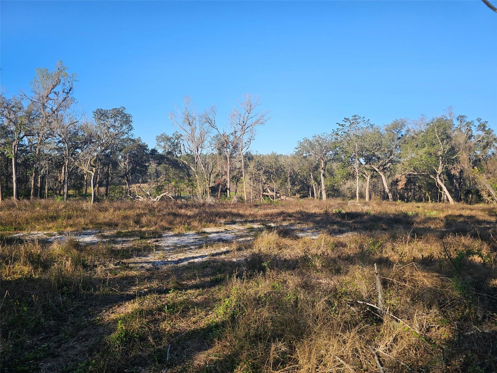 SAVANNAH OAKS-CLASS 1 SUB - Land