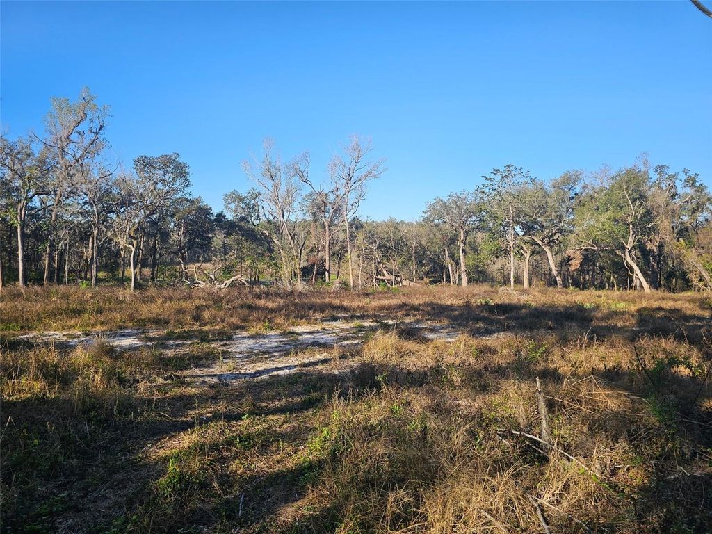 Photo of 359 Savannah Oaks Drive, Brooksville, FL 34602 (MLS # TB8389997)