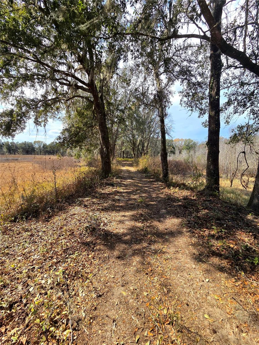 SAVANNAH OAKS-CLASS 1 SUB - Land