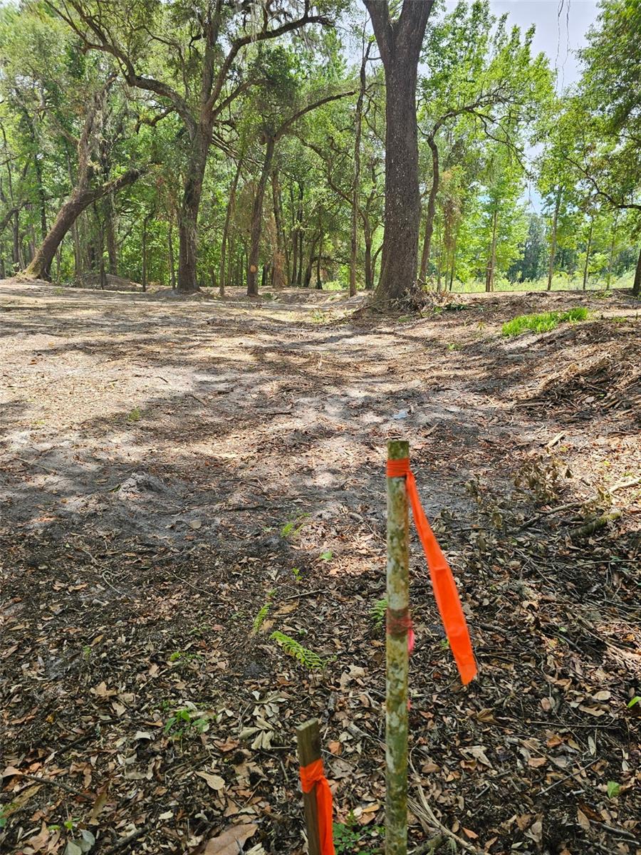 SAVANNAH OAKS-CLASS 1 SUB - Land