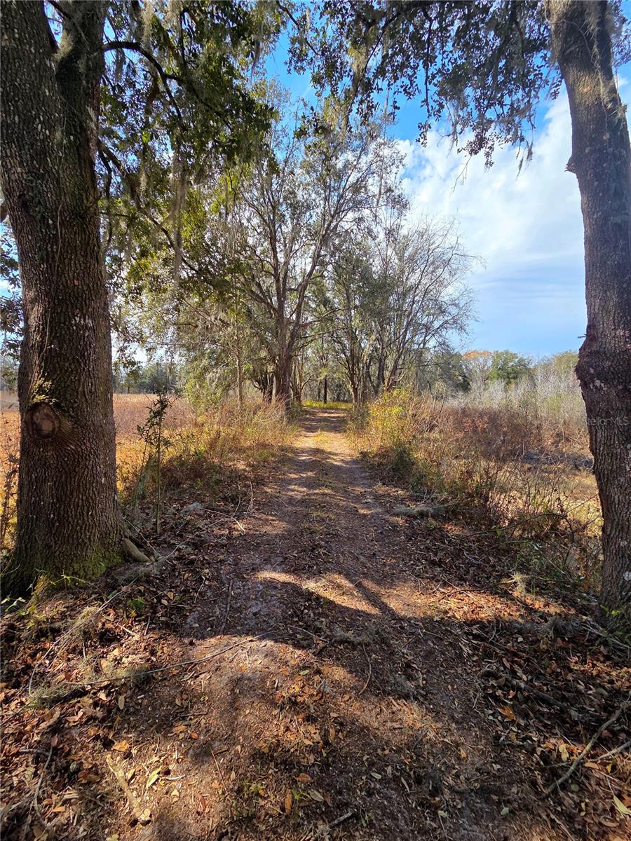 SAVANNAH OAKS-CLASS 1 SUB - Land