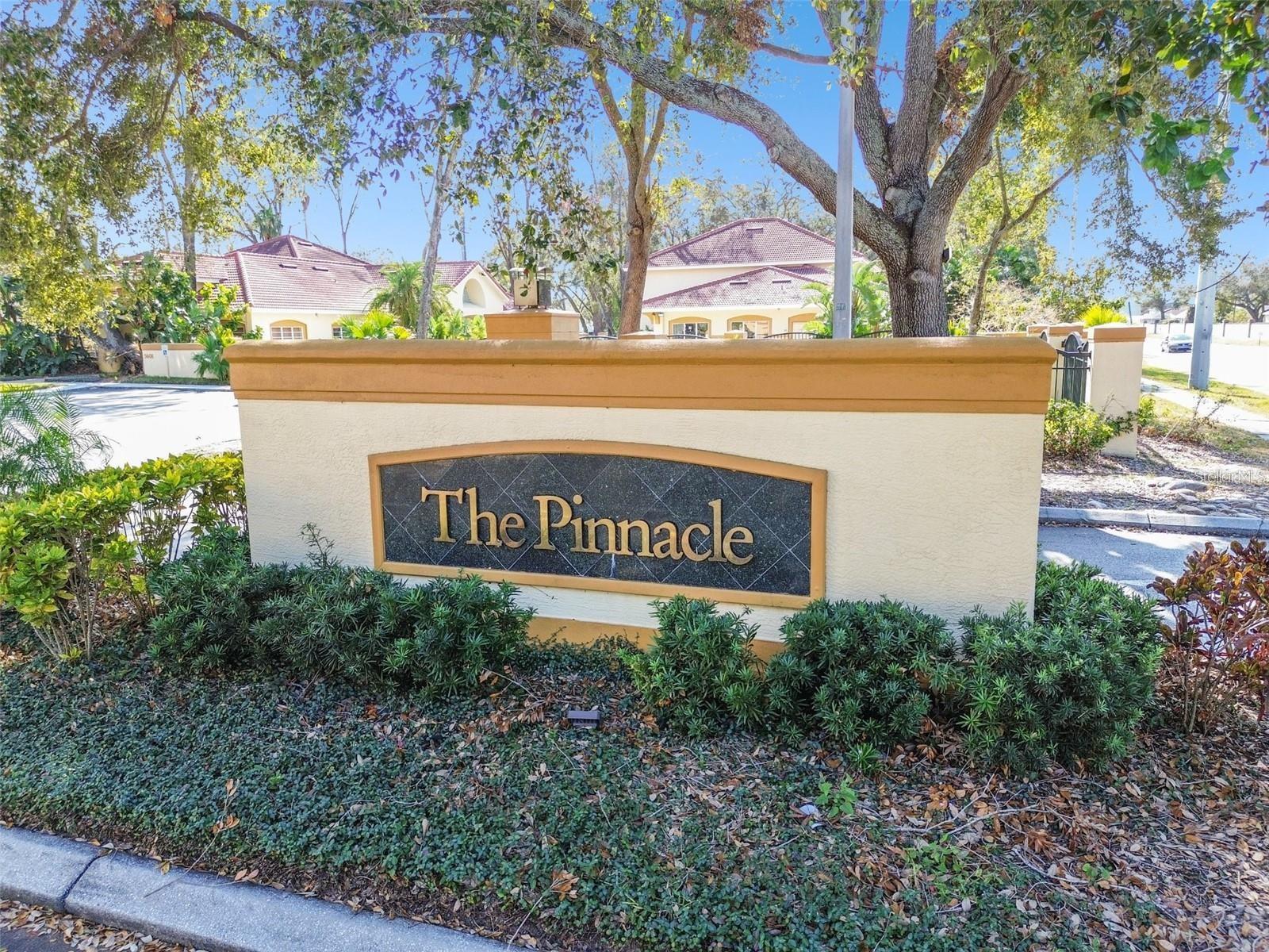 THE PINNACLE AT CARROLLWOOD A - Residential Lease