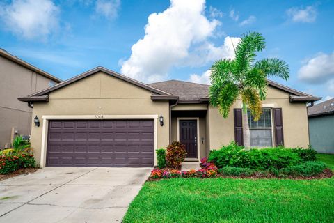 5003 WABASH PLACE RIVERVIEW FL 33578