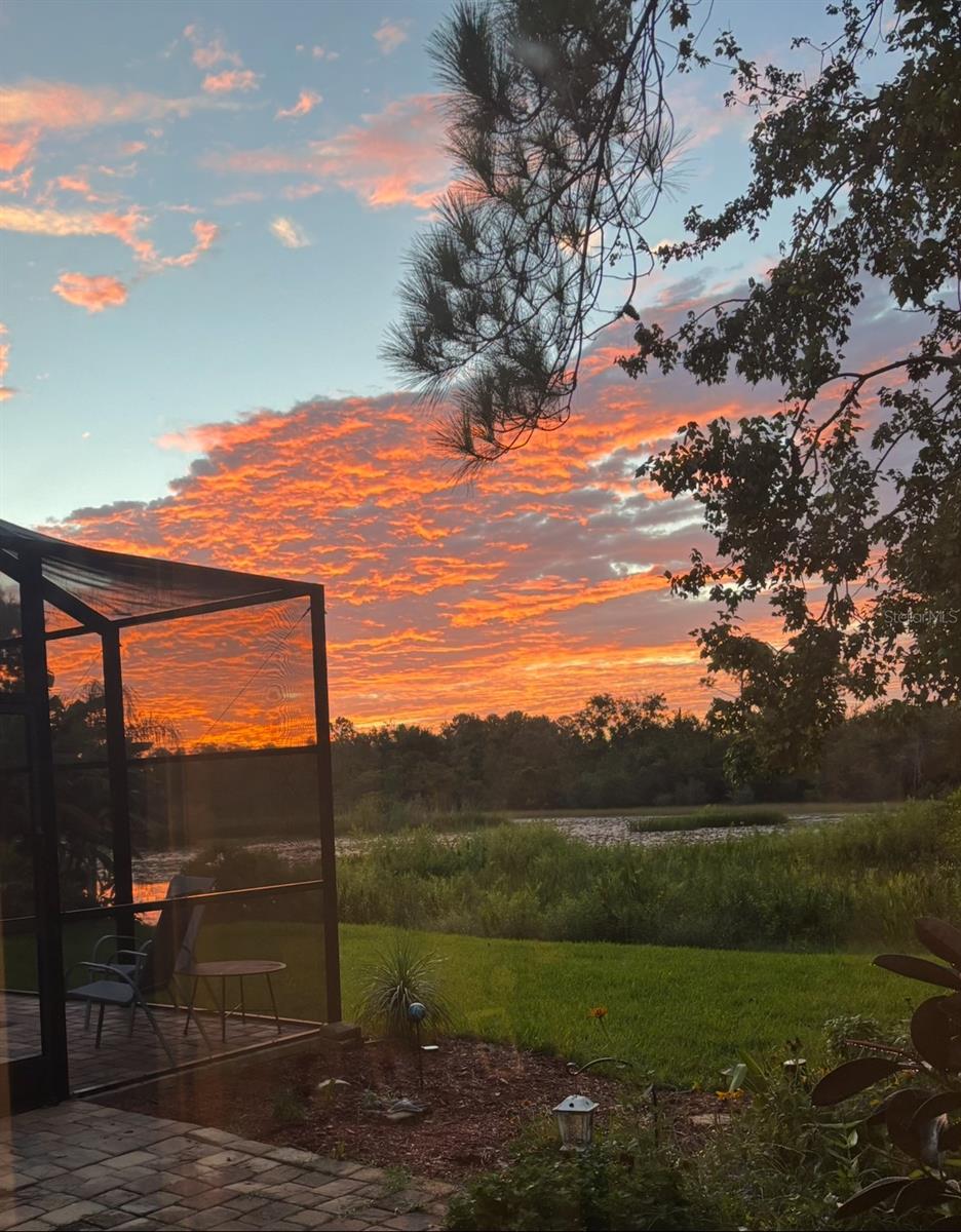 WILDERNESS LAKE PRESERVE PH 2 - Residential