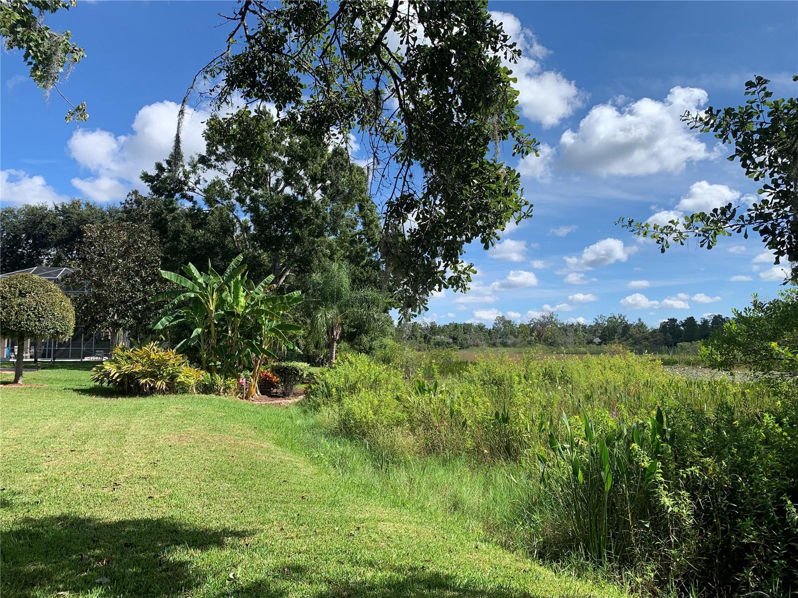 WILDERNESS LAKE PRESERVE PH 2 - Residential