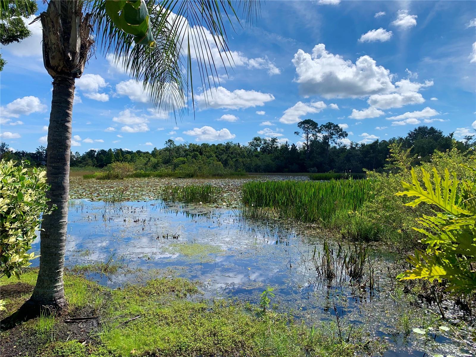 WILDERNESS LAKE PRESERVE PH 2 - Residential