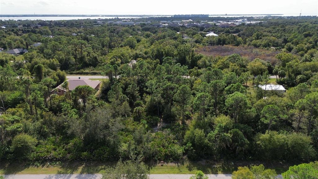 Photo of 23431 Racine Avenue, Punta Gorda, FL 33980 (MLS # O6393790)