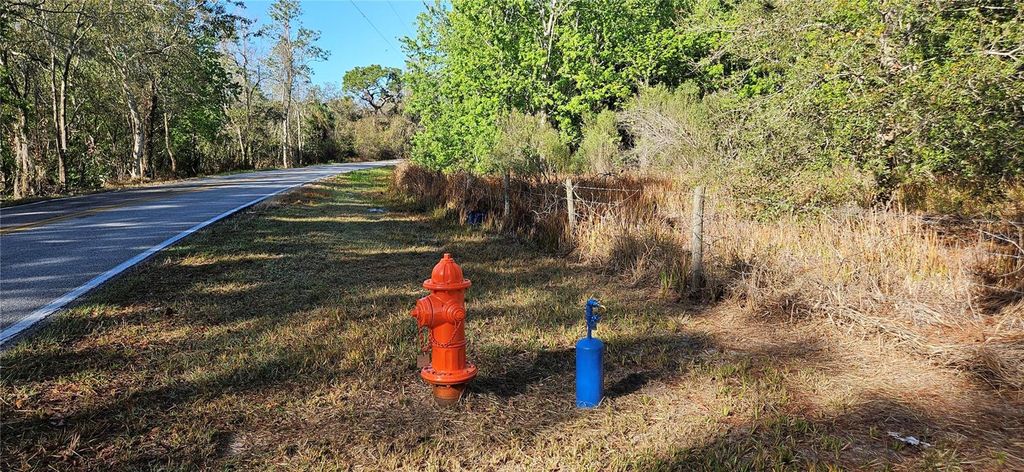 Photo of Lake Wales, FL 33898 (MLS # L4959906)