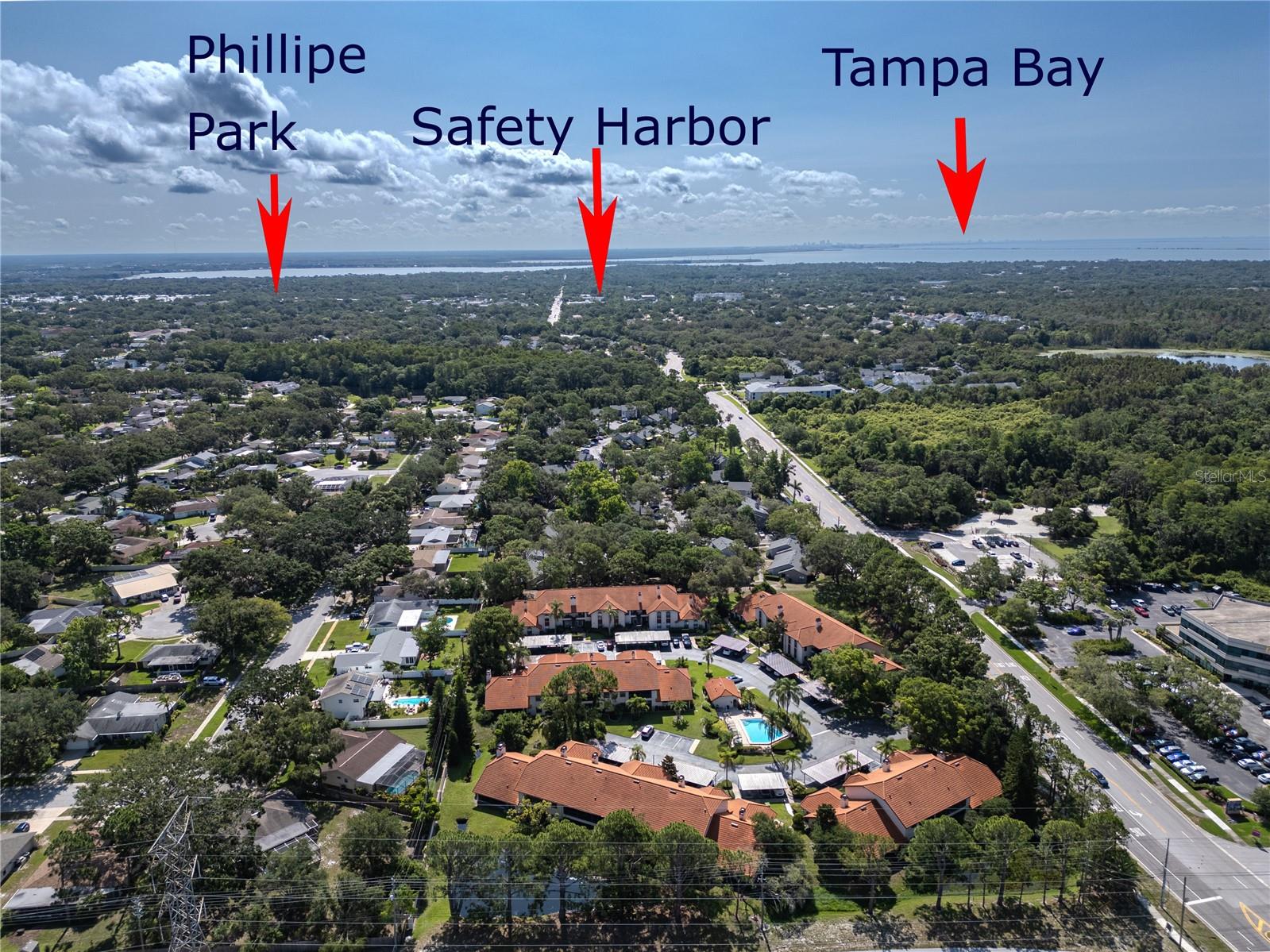 EUROPA OF COUNTRYSIDE CONDO - Residential Lease