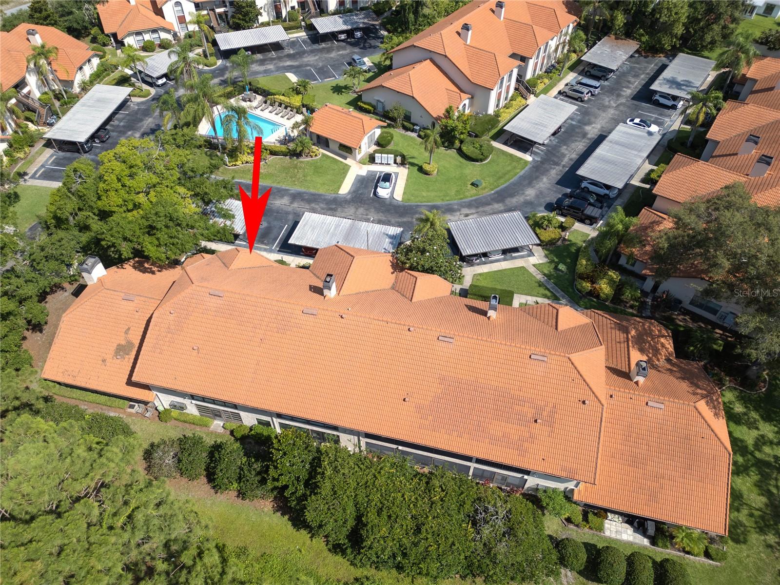 EUROPA OF COUNTRYSIDE CONDO - Residential Lease