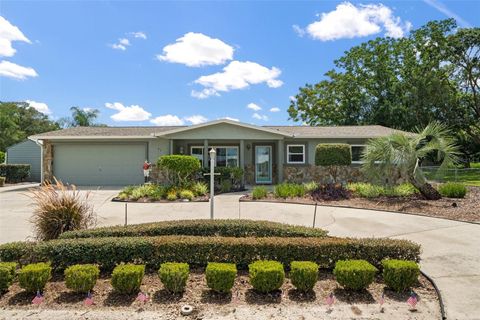 Photo of 91 S Davis Street, Beverly Hills, FL 34465 (MLS # OM711770)