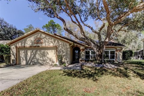 Photo of 1795 Bayhill Drive, Oldsmar, FL 34677 (MLS # TB8476650)