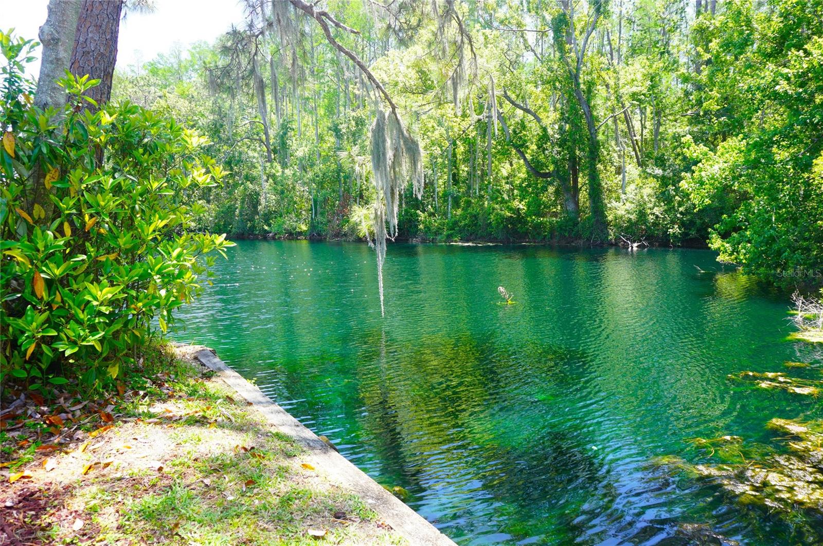 PARADISE LAKES CONDO - Residential