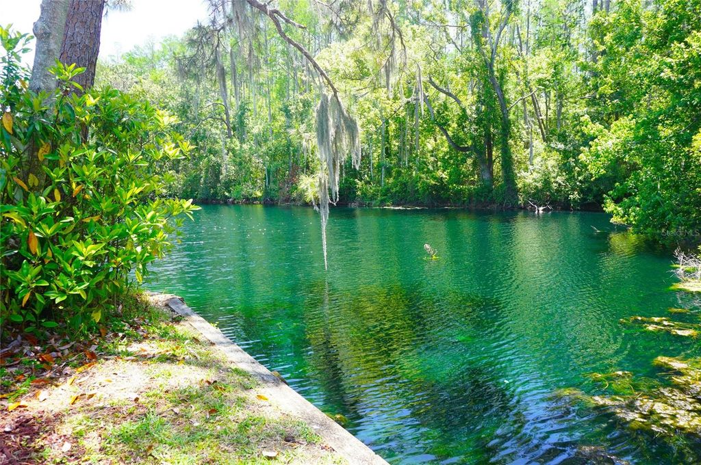 Photo of 1873 Mazo Manor #T9, Lutz, FL 33558 (MLS # W7884572)