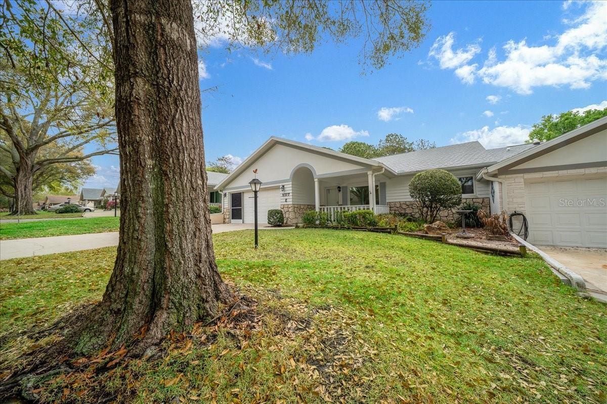 ON TOP OF THE WORLD - Residential