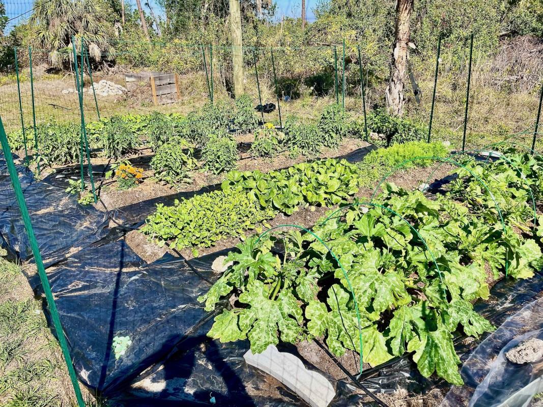 PORT CHARLOTTE SEC 084 - Residential