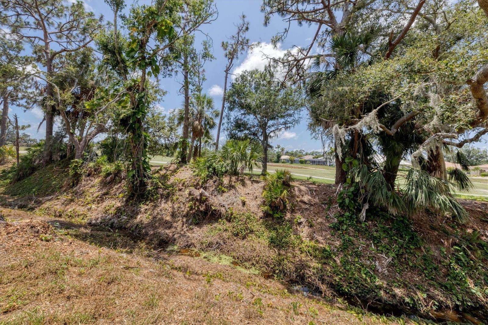 PELICAN POINTE GOLF & COUNTRY CLUB - Residential