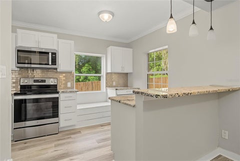 Tiny photo for 205 E Fountain Street, Fruitland Park, FL 34731 (MLS # O6429783)