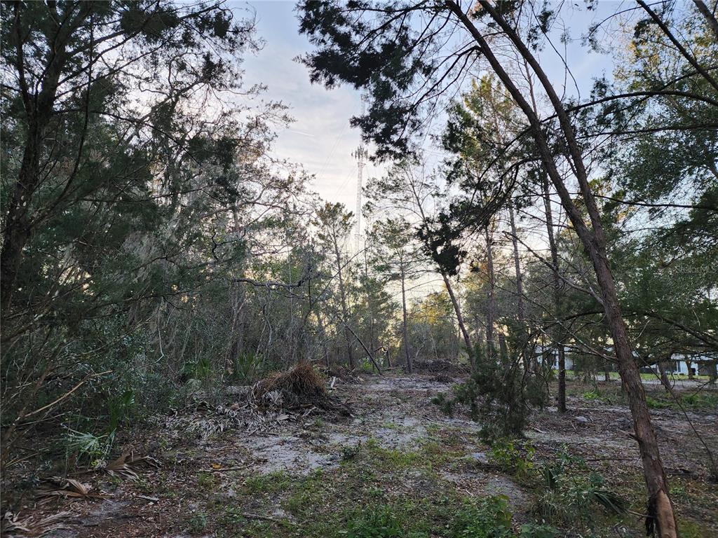 Build your dream home on this land. There is an easement to cell tower on a portion of the land.