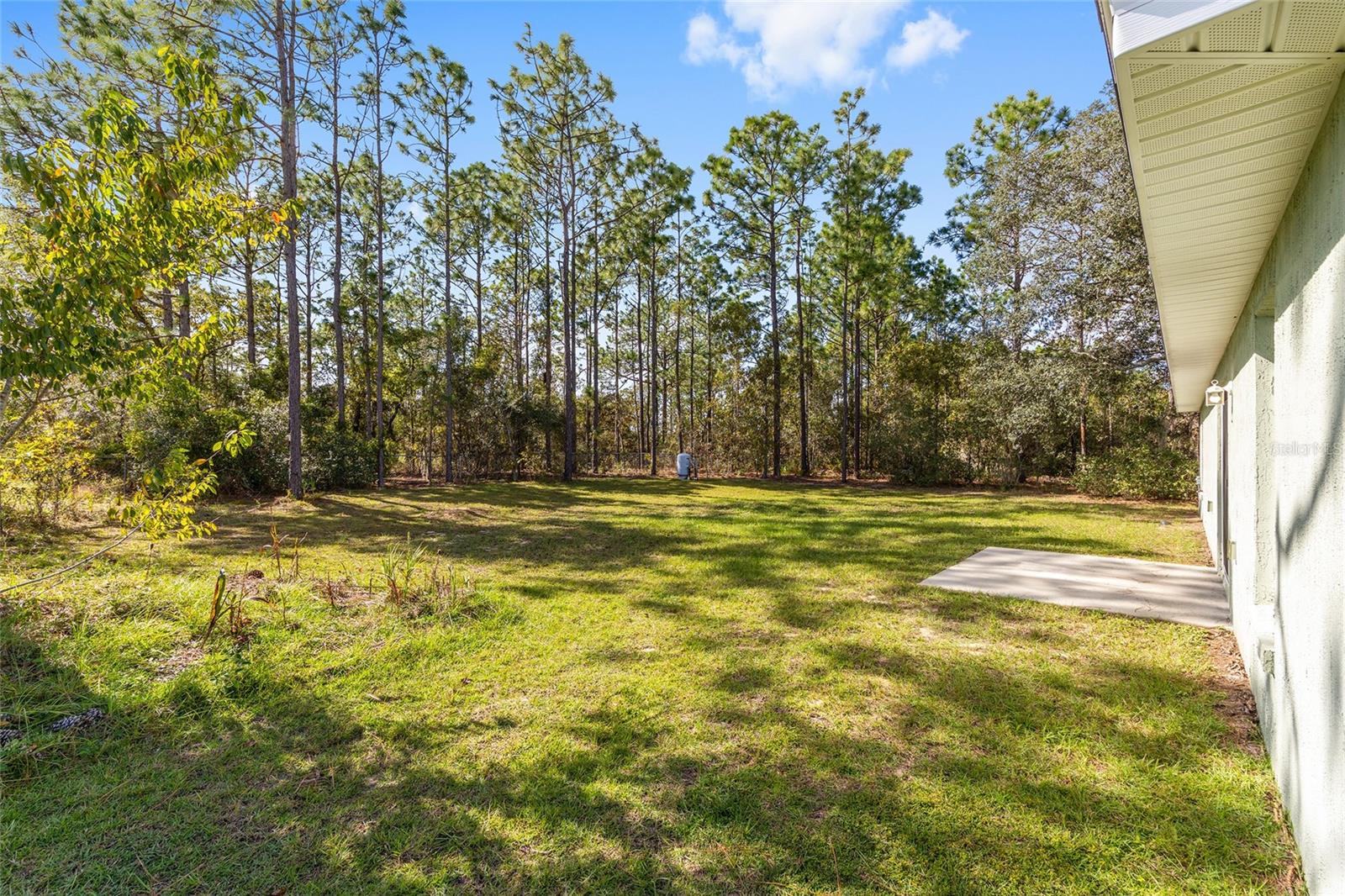 SILVER SPGS SHORES - Residential