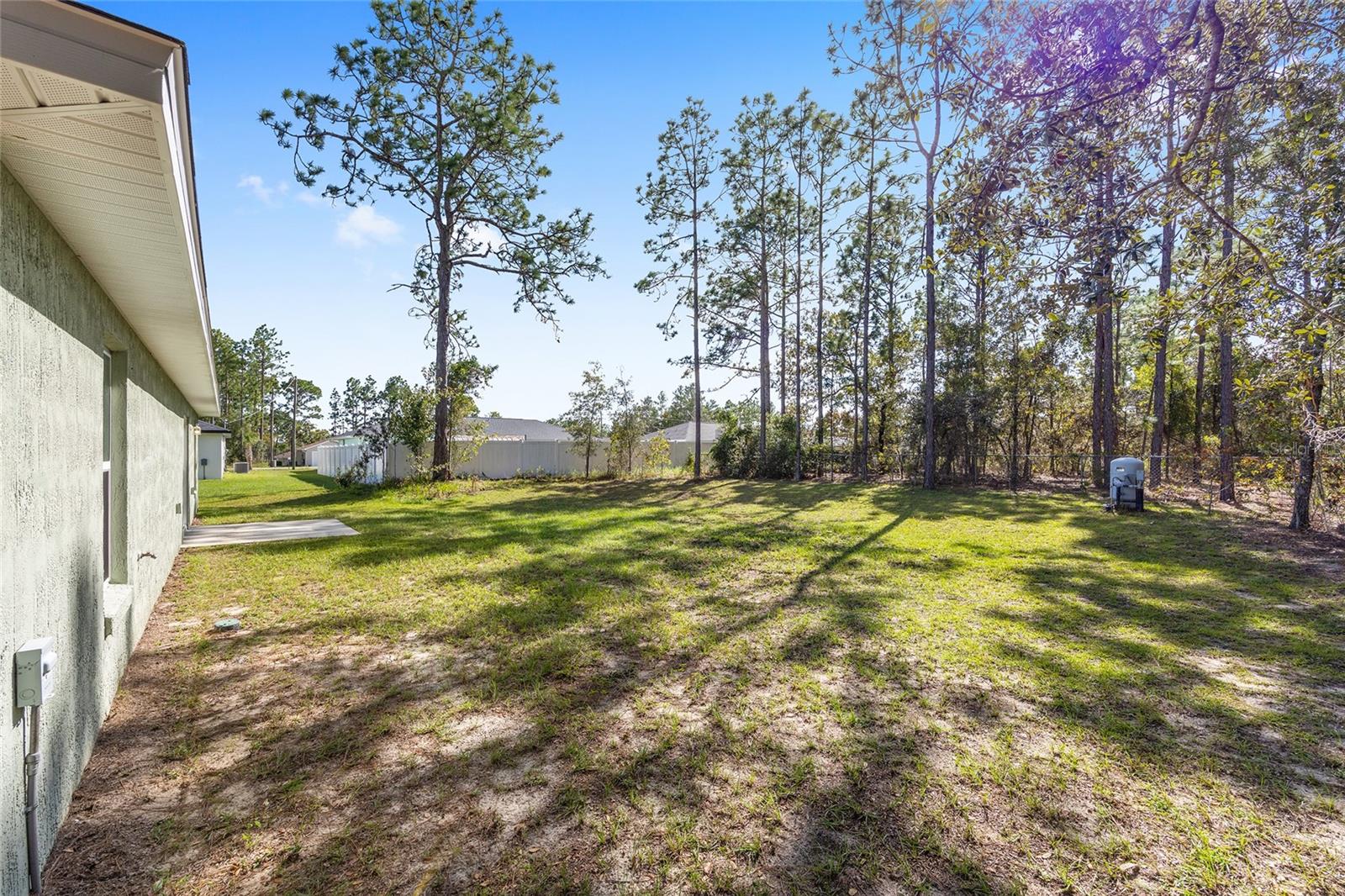 SILVER SPGS SHORES - Residential