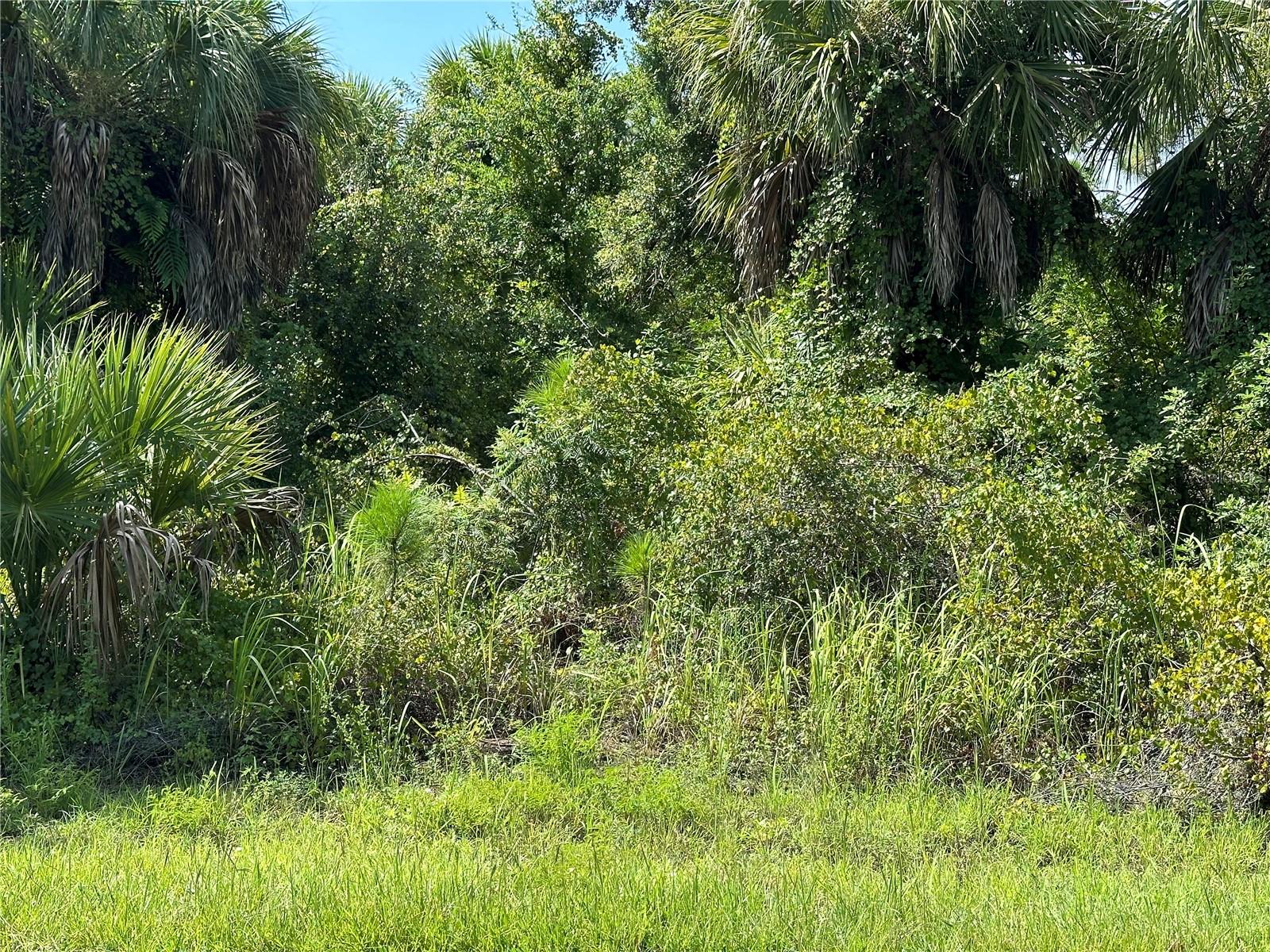 PORT CHARLOTTE SEC 059 - Land