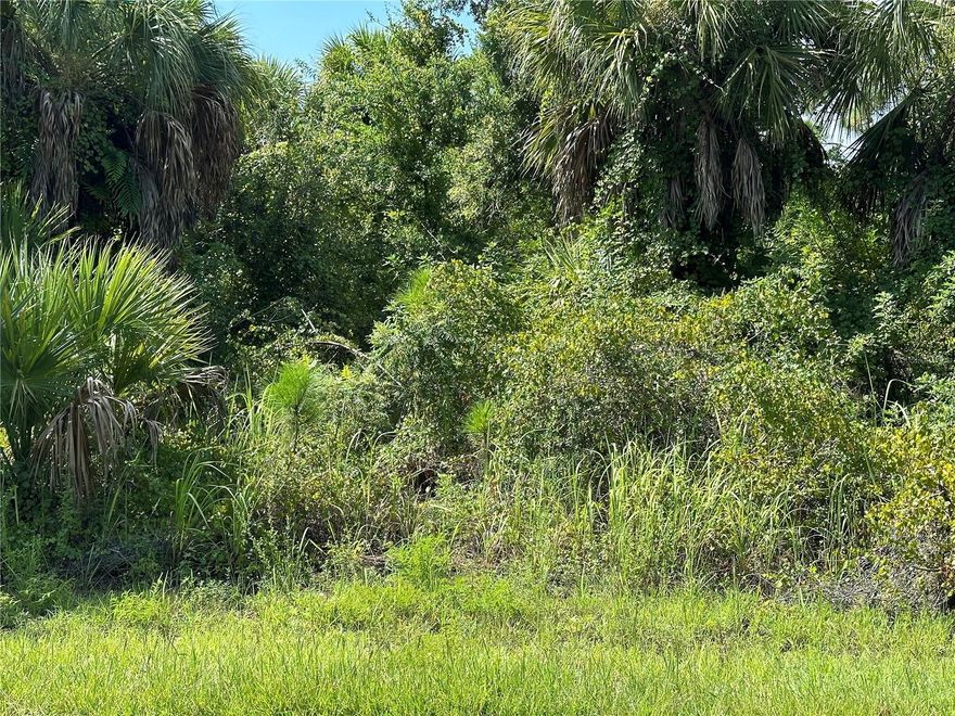 GREAT WATERFRONT BUILDING LOT ON THE ROTHCHILD WATERWAY.  NO HOA'S, CDD's or Deed Restrictions!Attention Fisherman, Boaters, Kayakers and Canoers! Over 3 miles of intersecting Freshwater waterways leading to Gulf access. Proximity to Local Beaches, Dining, Shopping and Golf Courses makes this property Ideal for the Florida Lifestyle.  Also have easy access to public parks, walking and biking trails and picnic areas. Quiet neighborhood but all conveniences nearby.