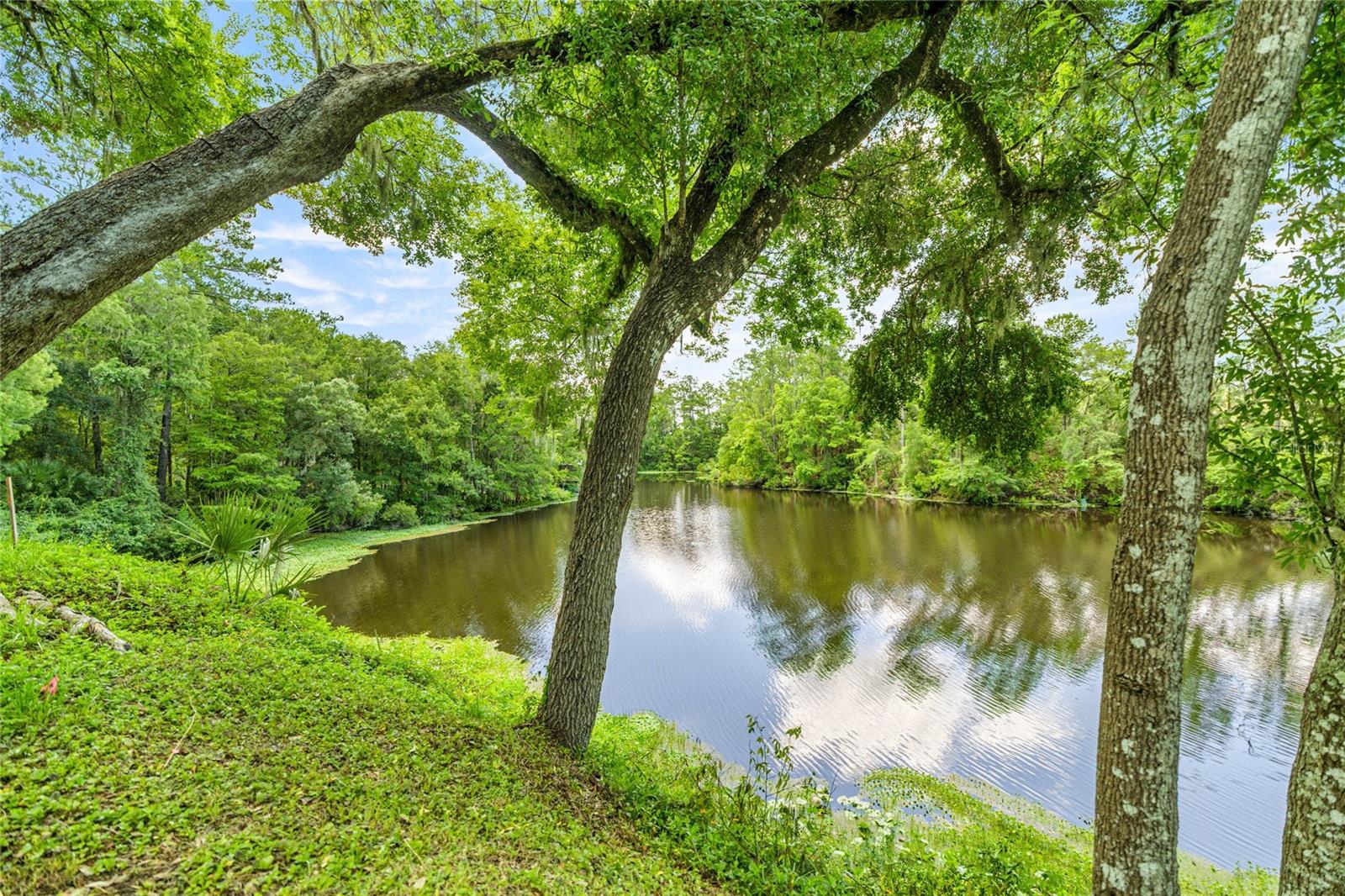 INDIAN COVE FARMS - Residential