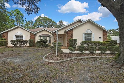 19649 SW 93RD LANE DUNNELLON FL 34432
