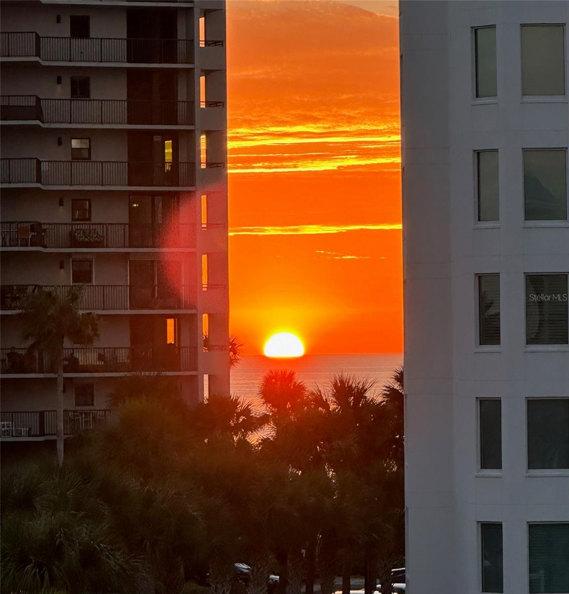 1591 GULF BOULEVARD 304S