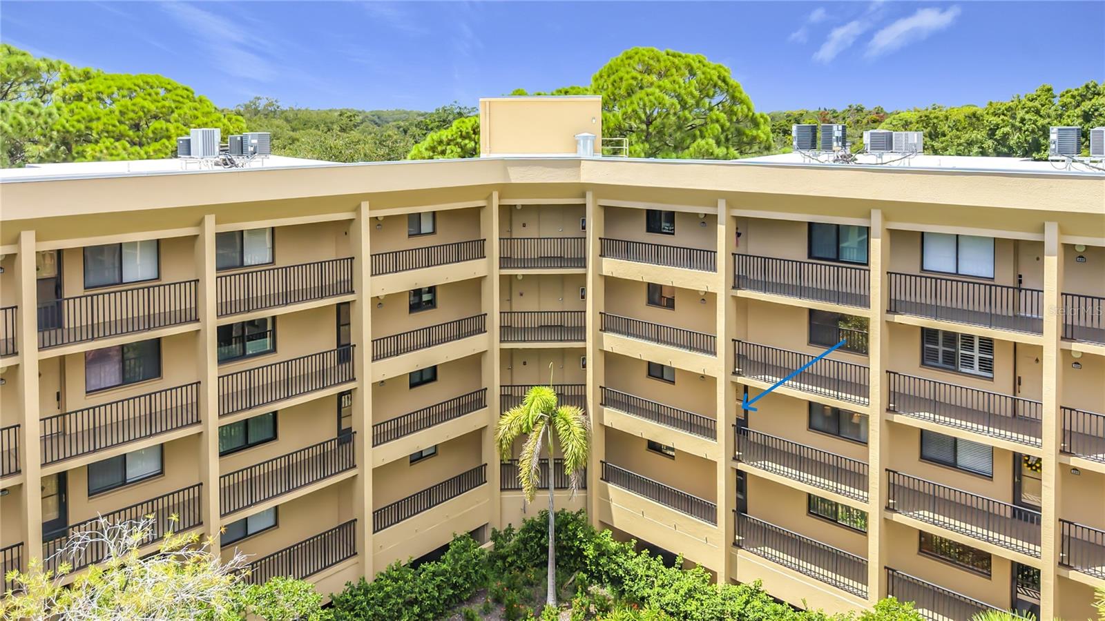 3078 EASTLAND BOULEVARD 209