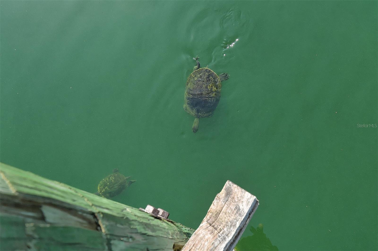 MEADOWCROFT PRCL A - Residential