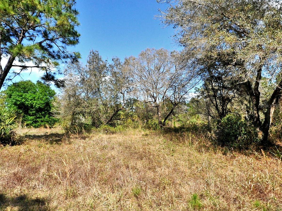 Opportunity to build on this .24-acre lot. Not in a flood zone, no HOA or CDD fees. Your piece of paradise.
