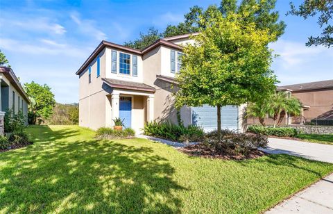 A home in RIVERVIEW