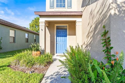 A home in RIVERVIEW