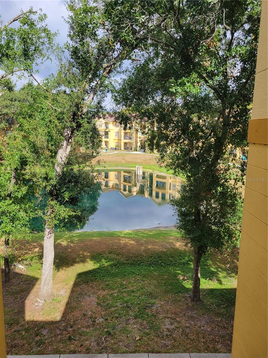 THE PINNACLE AT CARROLLWOOD A - Residential Lease